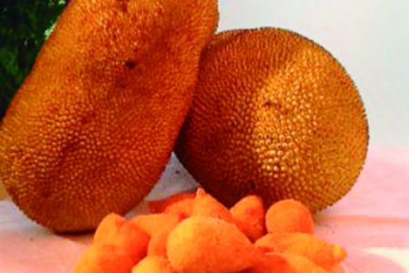 coxinha